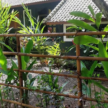 Villa King: Unique Villa With Indoor Swimming Pool アメッド エクステリア 写真