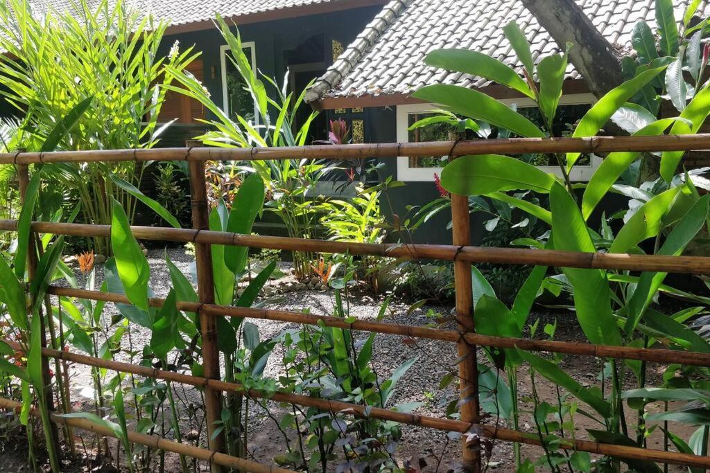 Villa King: Unique Villa With Indoor Swimming Pool アメッド エクステリア 写真