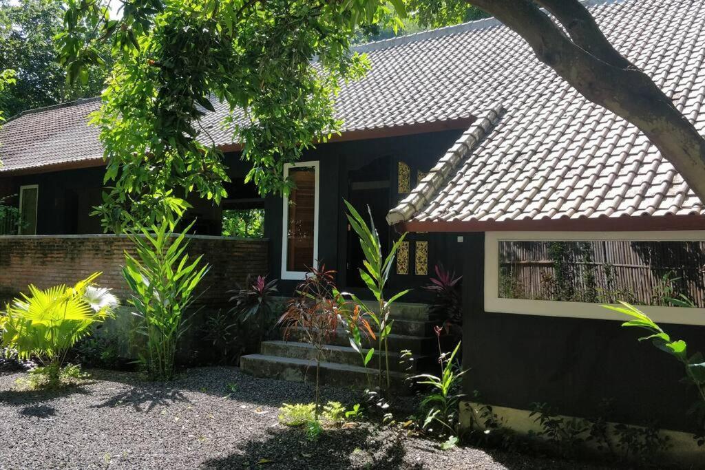 Villa King: Unique Villa With Indoor Swimming Pool アメッド エクステリア 写真