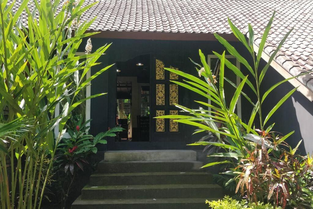 Villa King: Unique Villa With Indoor Swimming Pool アメッド エクステリア 写真