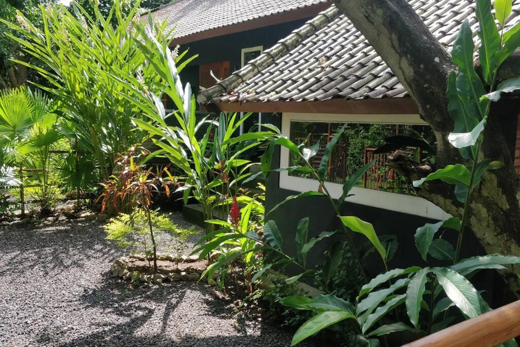 Villa King: Unique Villa With Indoor Swimming Pool アメッド エクステリア 写真