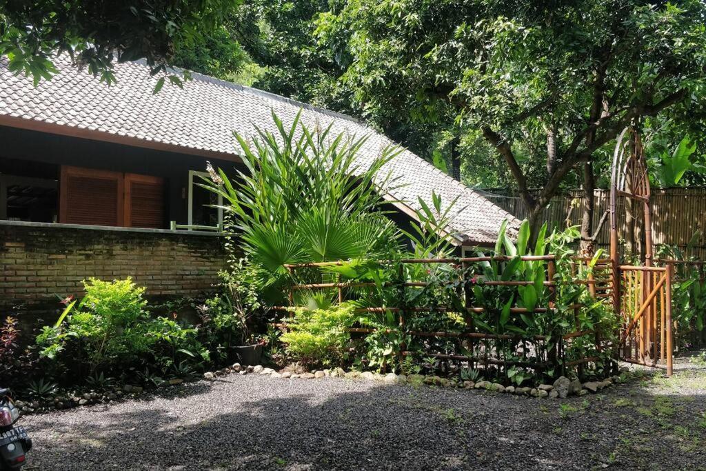 Villa King: Unique Villa With Indoor Swimming Pool アメッド エクステリア 写真