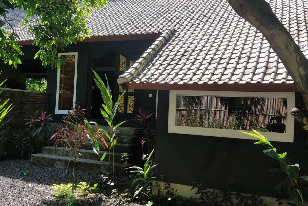 Villa King: Unique Villa With Indoor Swimming Pool アメッド エクステリア 写真