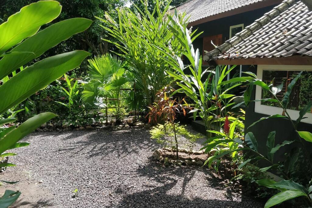 Villa King: Unique Villa With Indoor Swimming Pool アメッド エクステリア 写真