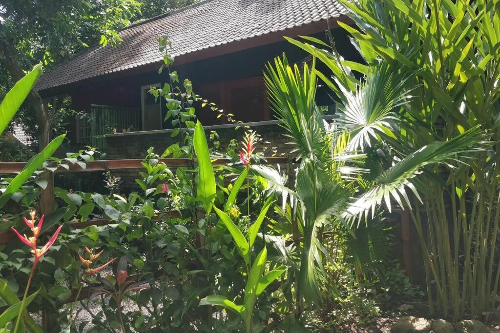Villa King: Unique Villa With Indoor Swimming Pool アメッド エクステリア 写真
